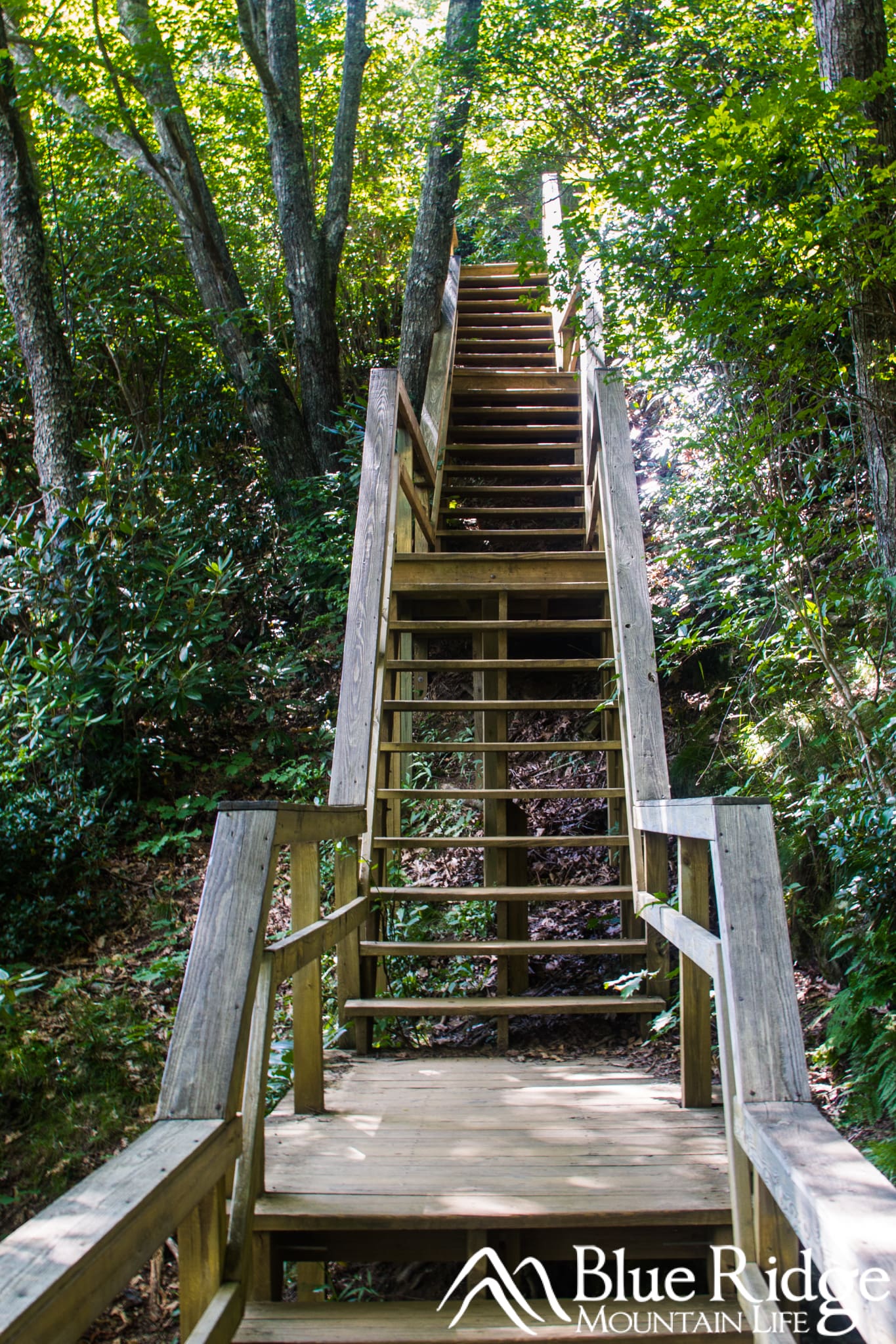 Stairs down to Lower Falls, Graveyard Fields Stairs down to Lower Falls, Graveyard Fields