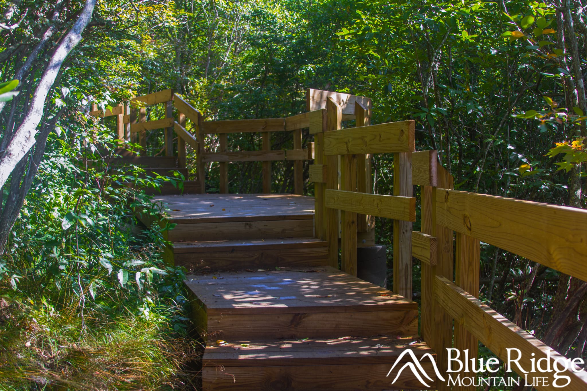 Decking at Graveyard Fields Decking at Graveyard Fields