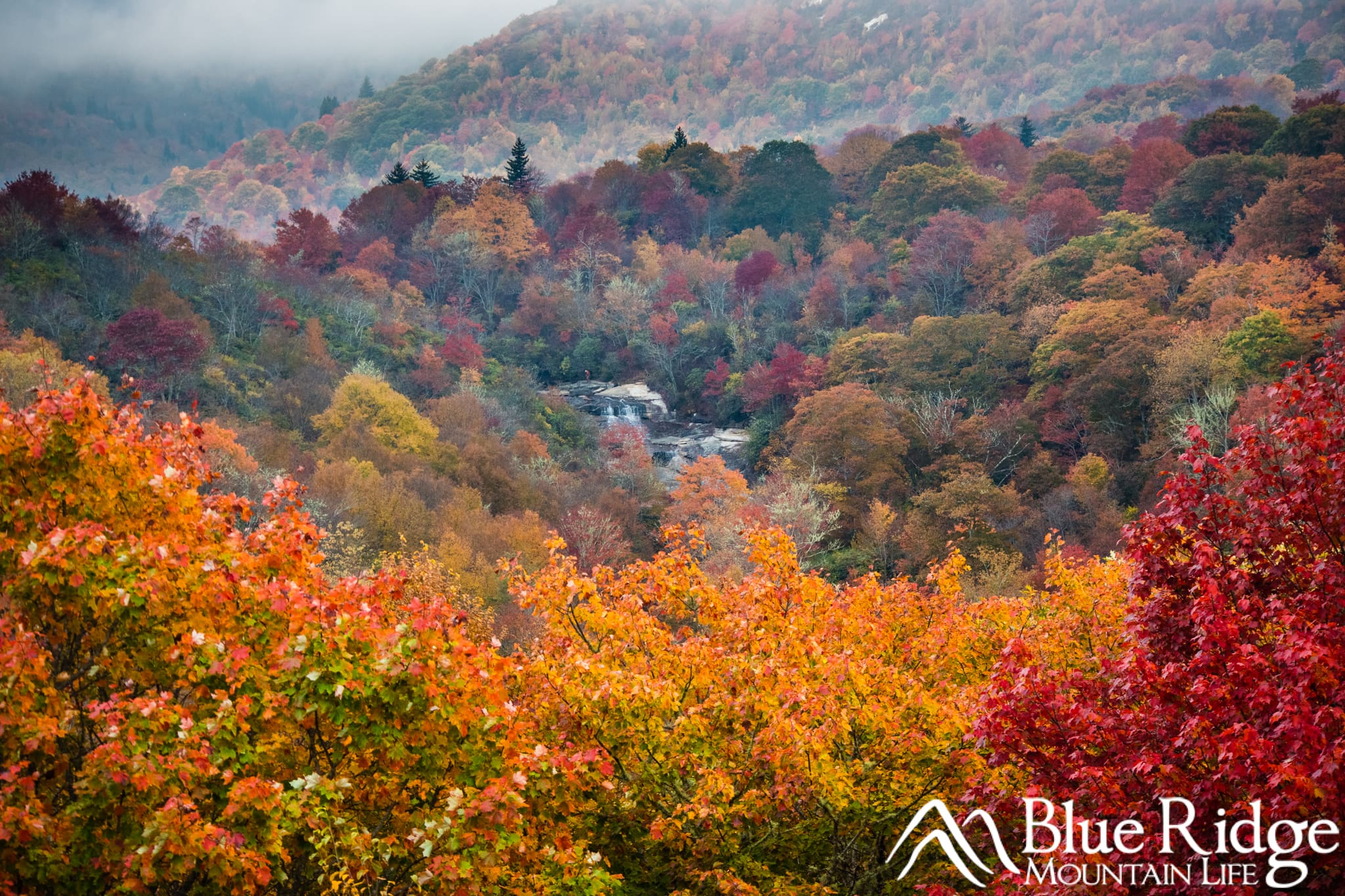 Fall at Graveyard Fields Fall at Graveyard Fields