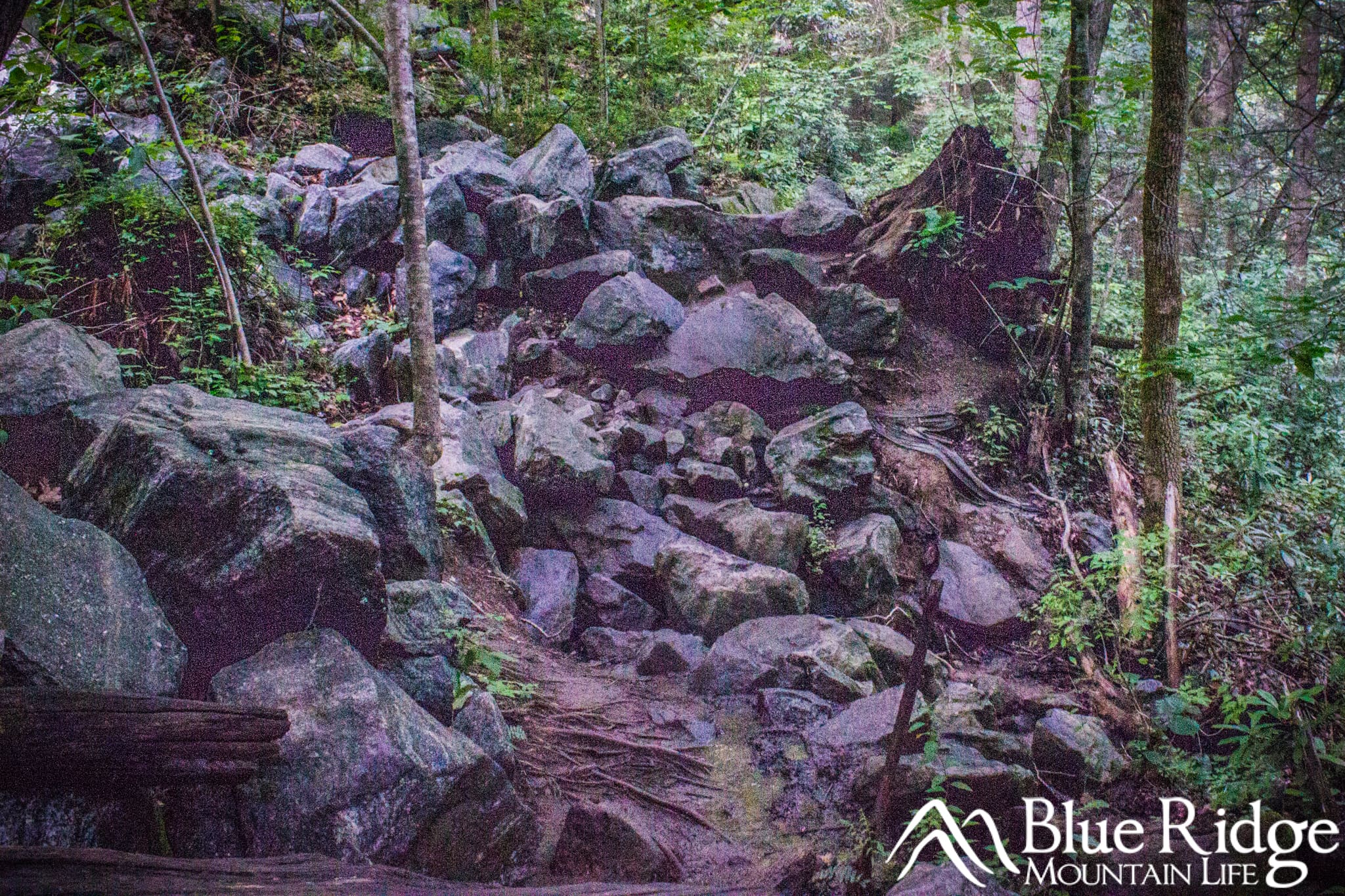 Little Bradley Falls Trail - Boulder Field Little Bradley Falls Trail - Boulder Field