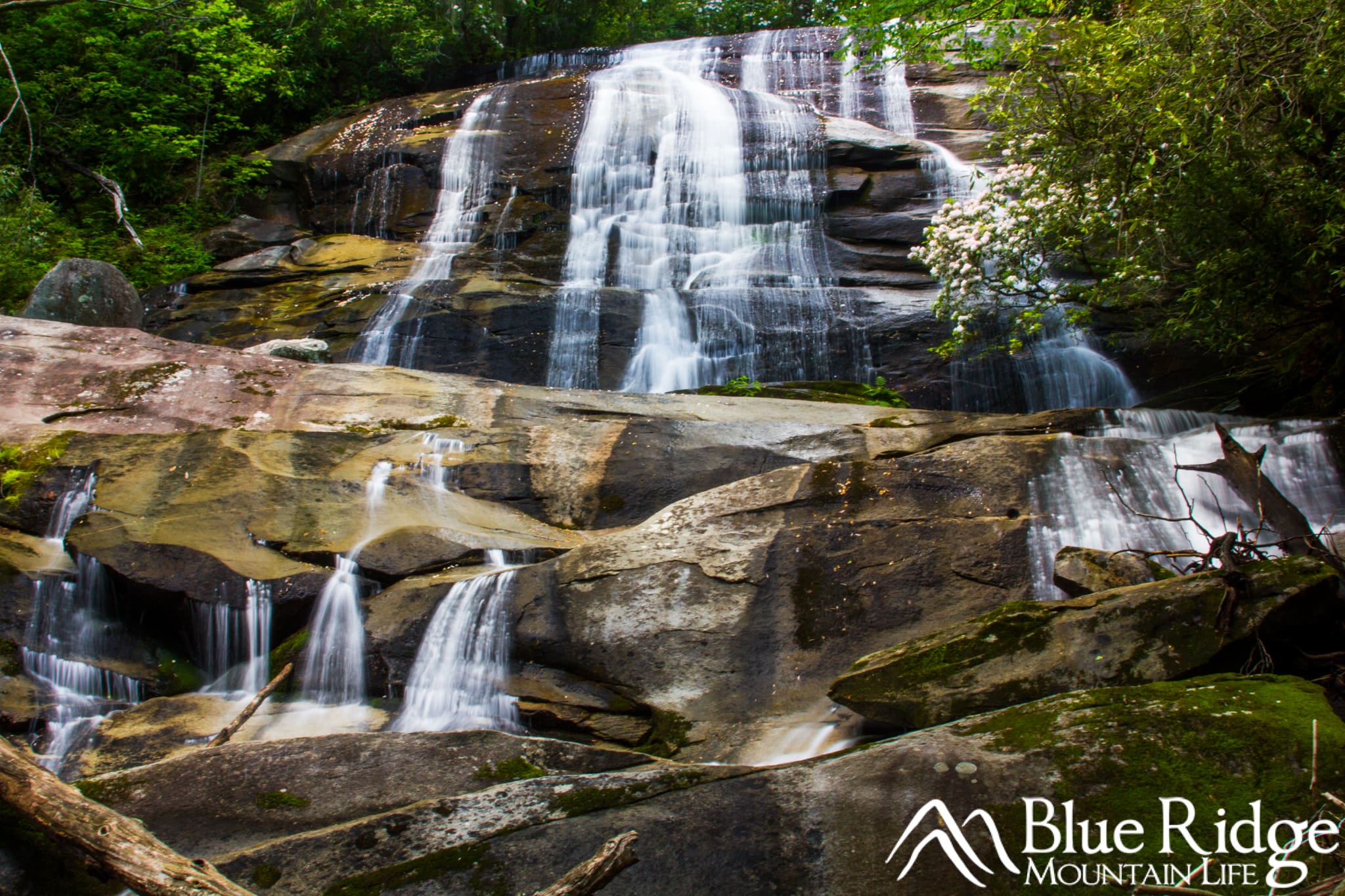 Cove Creek Falls near Brevard NC Cove Creek Falls near Brevard NC