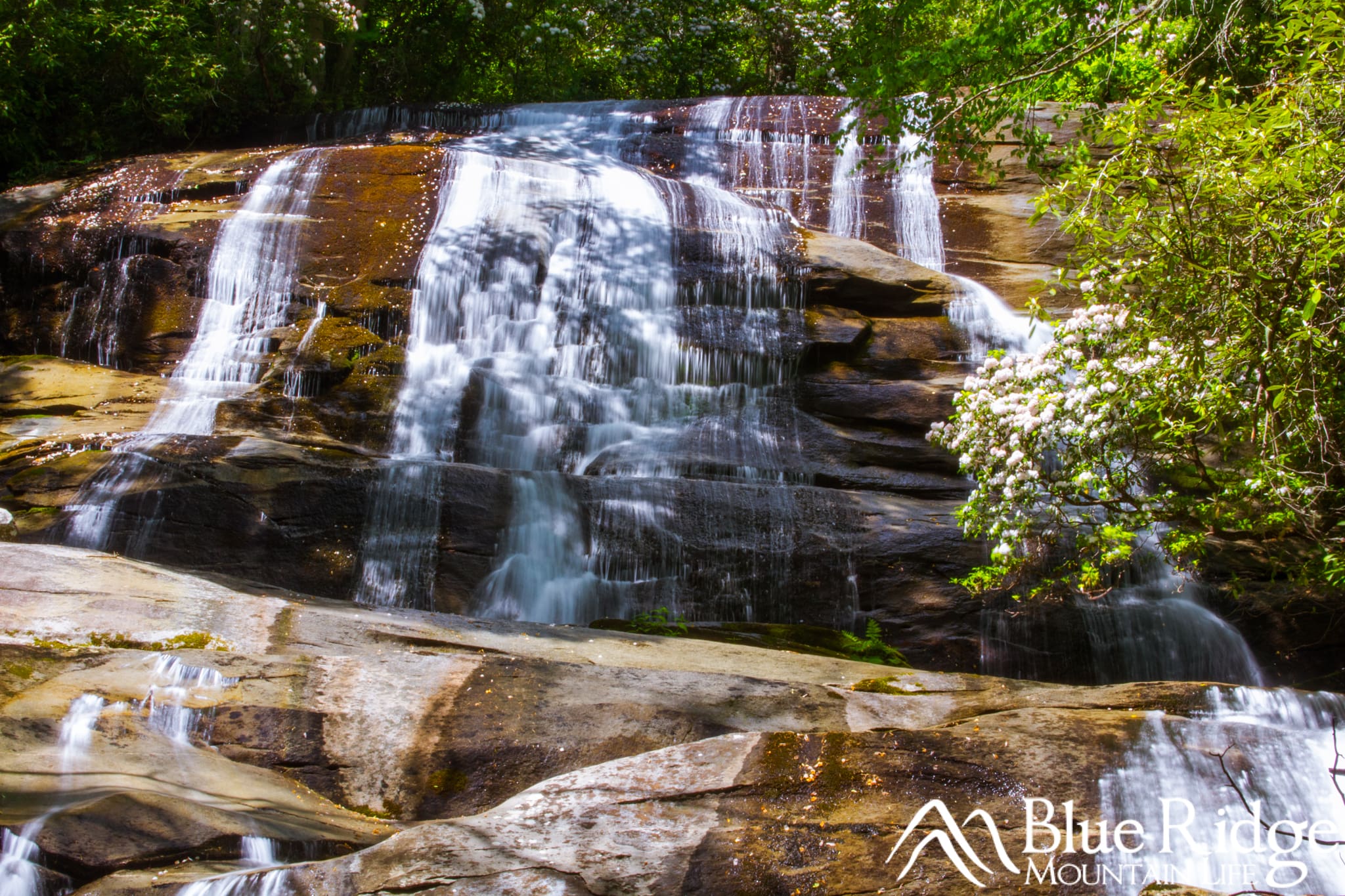 Cove Creek Falls, Pisgah National Forest Cove Creek Falls, Pisgah National Forest